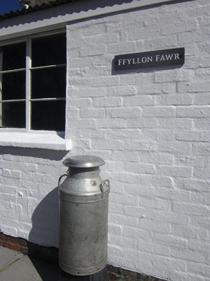 Ffyllon Fawr Villa Henfynyw Upper Exterior photo